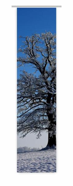 , Schiebevorhang, Schiebegardine, modern, 60 cm breit, 2,65 m hoch, 3 m hoch